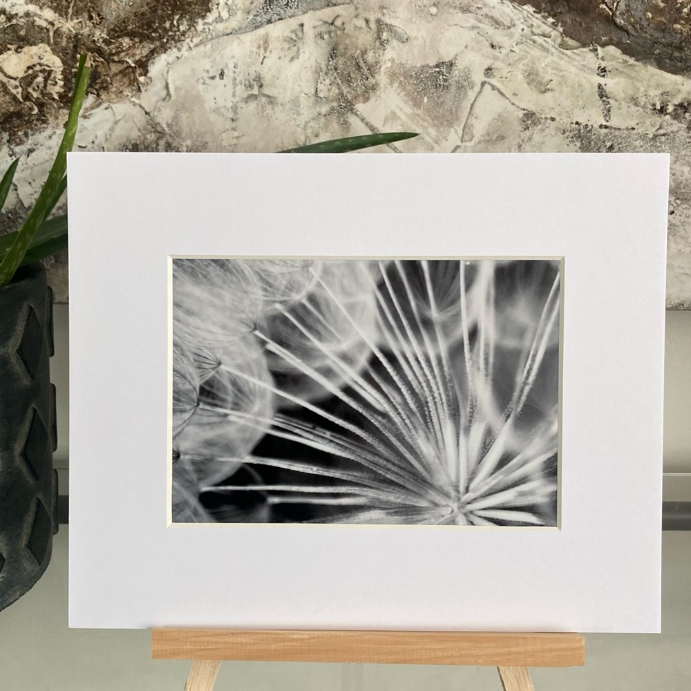 ❌SOLD❌DARK SUBLIME” ~ ORIGINAL ART by ~ @lisamichellebeckerphotography - Picture 2 of 15